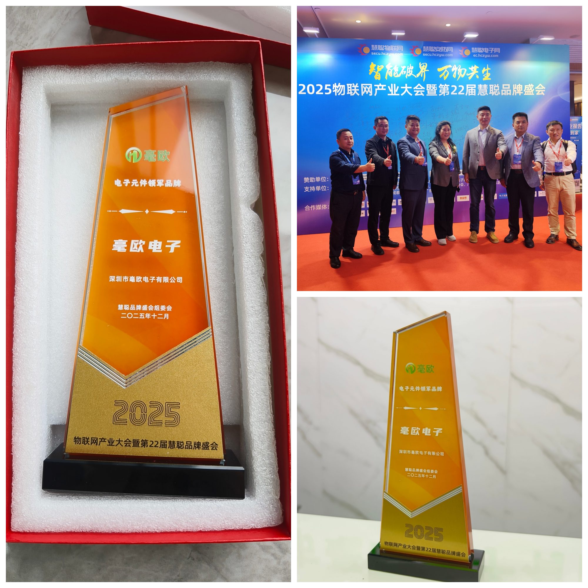 毫欧电子元件领军品牌奖杯